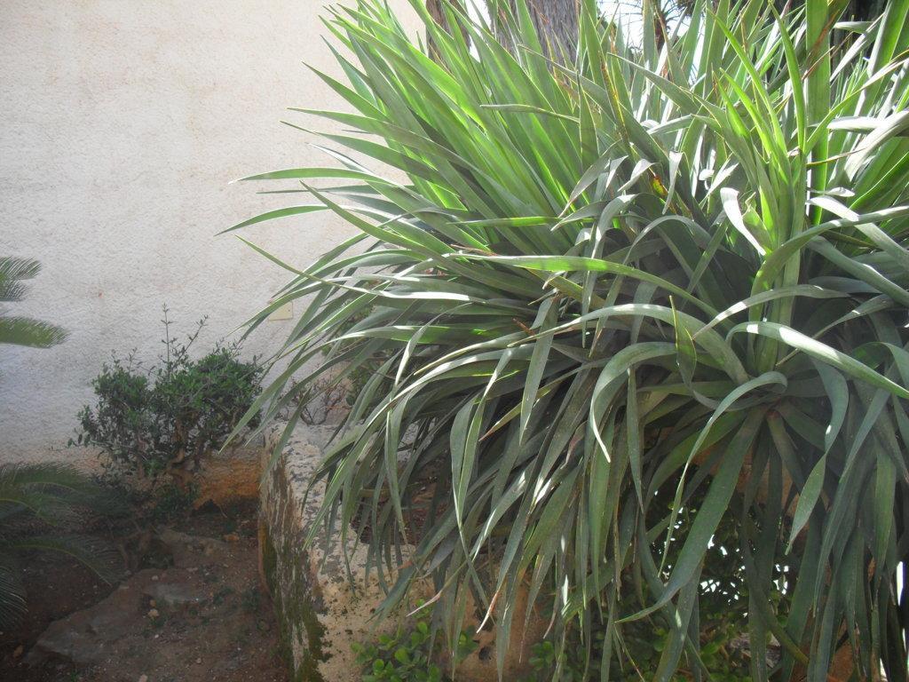 Casa Petros Appartement Marsala Buitenkant foto
