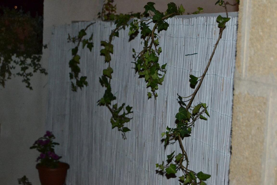 Casa Petros Appartement Marsala Buitenkant foto